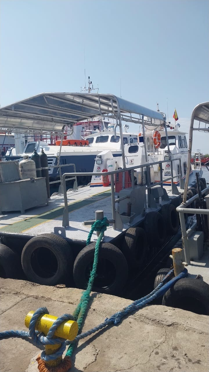 Imagen de la galería