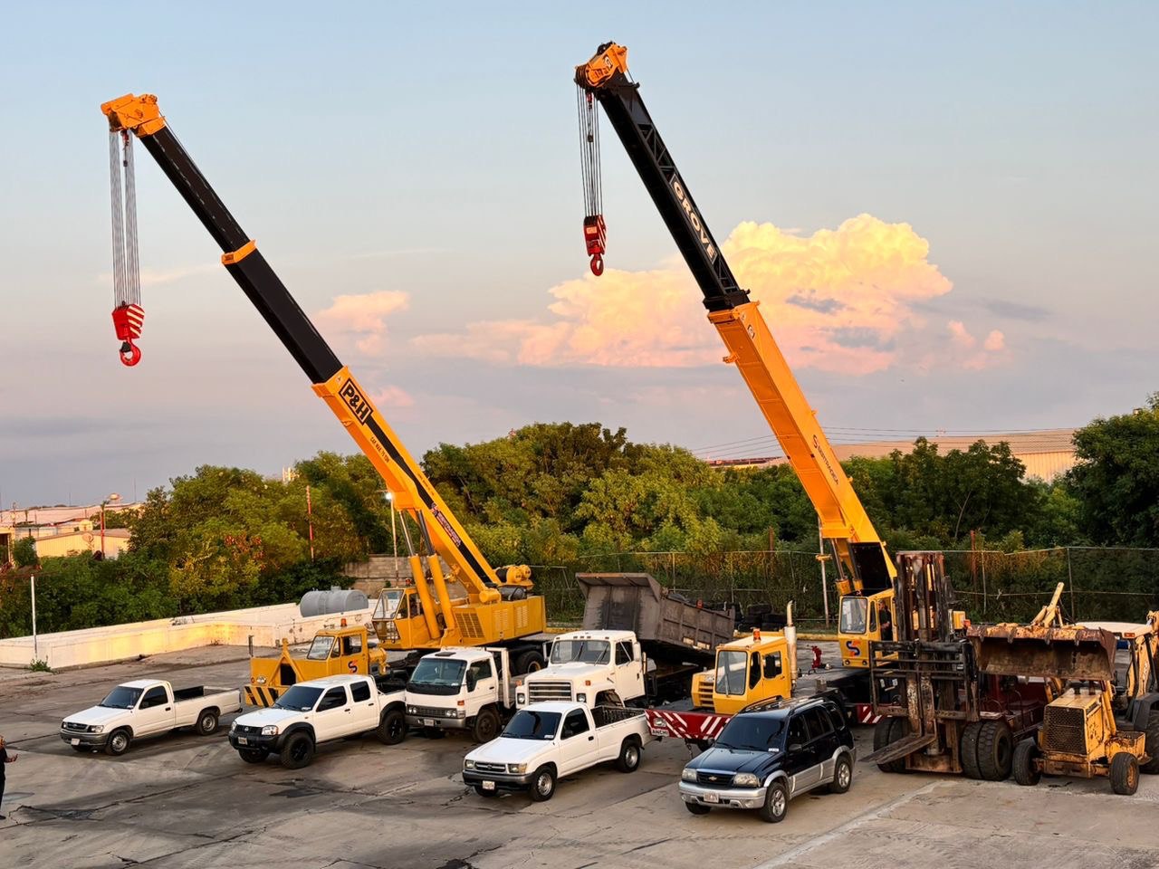 Imagen de la galería