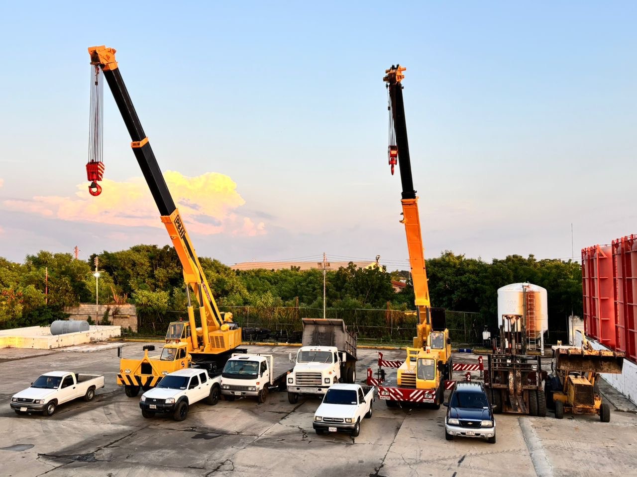 Imagen de la galería